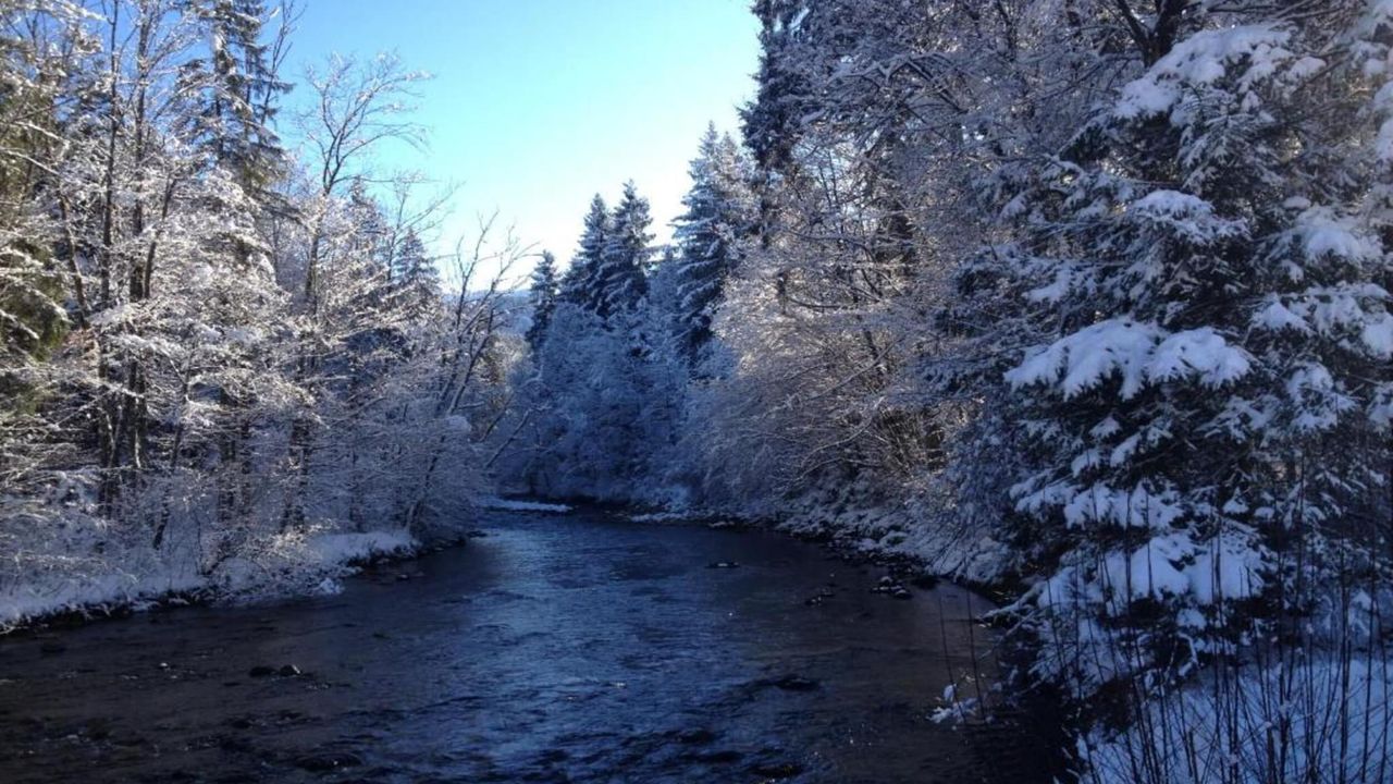 AreaWinter20KM AreaWinter20KM